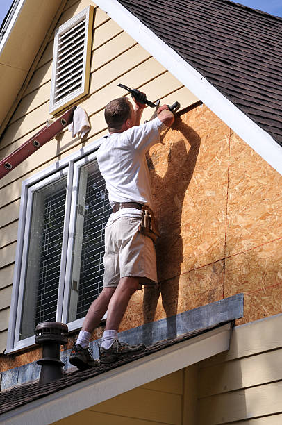 Best Vinyl Siding Installation  in South Haven, IN